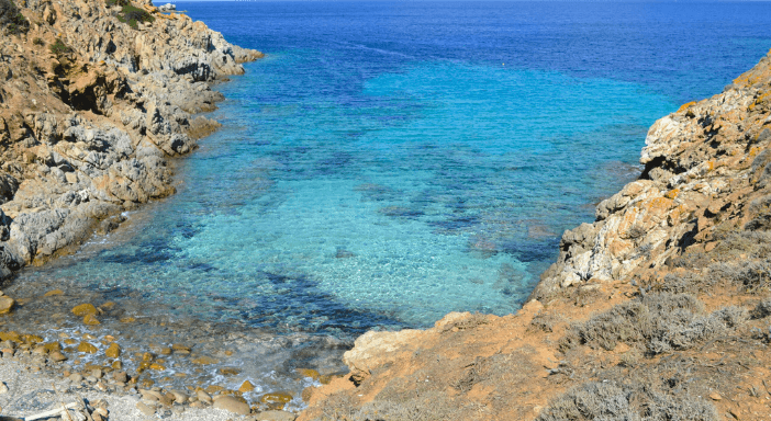 Tour Asinara: Tra Natura e Storia