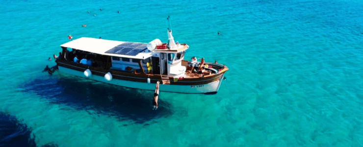 Tour in Barca Asinara