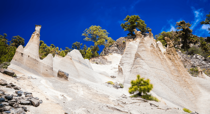 Tenerife Avventura: Trekking e Natura Selvaggia