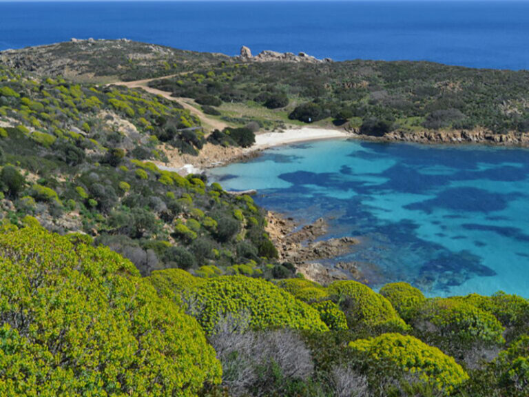 TOUR DELL’ ASINARA TRA NATURA E STORIA